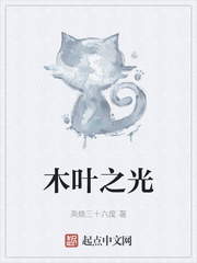 木叶之光最新章节 木叶之光最新章节