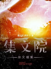 集文院杂文琐案最新章节