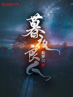 暮夜良人最新章节