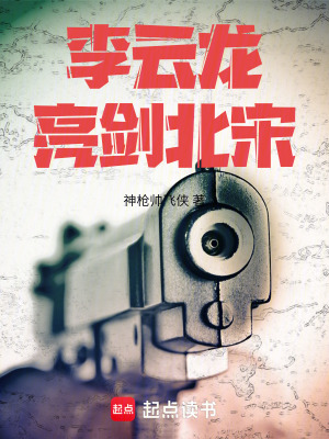 李云龙亮剑北宋最新章节