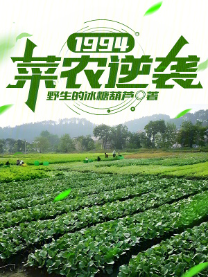 1994：菜农逆袭最新章节