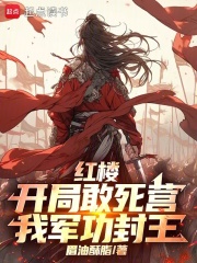 红楼：开局敢死营，我军功封王最新章节