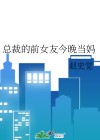 总裁的前女友今晚当妈