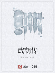 武朝传