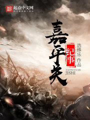 嘉平关纪事最新章节