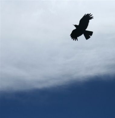 我们的自由年代最新章节